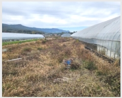  2025Ÿ��34150 ���� ���ֽ� ��ȸ� ������ 48-11      ����(��)���