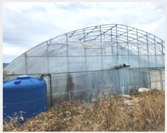  2025Ÿ��34150 ���� ���ֽ� ��ȸ� ������ 48-11      ����(��)���