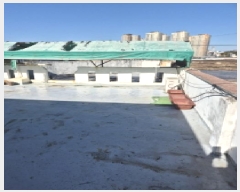  2025Ÿ��34178 ���� ���� �е� 901-79       ����(����)���