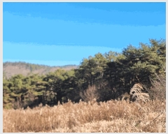  2025Ÿ��34419  �Ӿ߰��