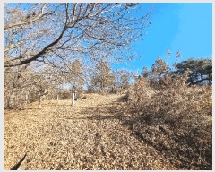  2025Ÿ��34419  �Ӿ߰��