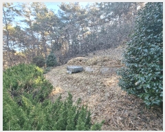  2025Ÿ��34419  �Ӿ߰��