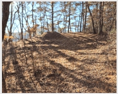  2025Ÿ��34419  �Ӿ߰��