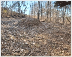  2025Ÿ��34419  �Ӿ߰��