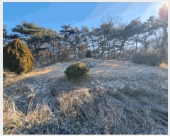  2025Ÿ��34419  �Ӿ߰��