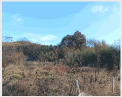  2025Ÿ��34451 ���� ��籺 ����� ���踮 ��125      ����(�Ӿ�)���