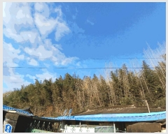  2025Ÿ��34451 ���� ��籺 ����� ���踮 ��125      ����(�Ӿ�)���