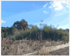  2025Ÿ��34451 ���� ��籺 ����� ���踮 ��125      ����(�Ӿ�)���