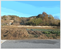  2025Ÿ��34451 ���� ��籺 ����� ���踮 ��125      ����(�Ӿ�)���