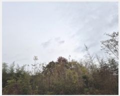  2025Ÿ��34451 ���� ��籺 ����� ���踮 ��125      ����(�Ӿ�)���