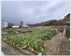  2025Ÿ��34451 ���� ��籺 ����� ���踮 ��125      ����(�Ӿ�)���