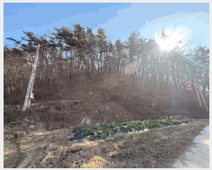  2025Ÿ��34464 ���� ȭ���� ��Ƹ� �渮 ��110-3      ����(�Ӿ�)���