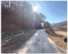  2025Ÿ��34464 ���� ȭ���� ��Ƹ� �渮 ��110-3      ����(�Ӿ�)���