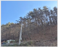  2025Ÿ��34464 ���� ȭ���� ��Ƹ� �渮 ��110-3      ����(�Ӿ�)���