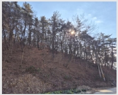  2025Ÿ��34464 ���� ȭ���� ��Ƹ� �渮 ��110-3      ����(�Ӿ�)���