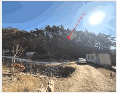  2025Ÿ��34464 ���� ȭ���� ��Ƹ� �渮 ��110-3      ����(�Ӿ�)���