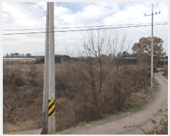  2025Ÿ��34673 ���� ���ֽ� ������ �ŵ��� 835      ����(�Ӿ�)���