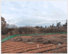  2025Ÿ��34673 ���� ���ֽ� ������ �ŵ��� 835      ����(�Ӿ�)���