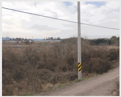  2025Ÿ��34673 ���� ���ֽ� ������ �ŵ��� 835      ����(�Ӿ�)���