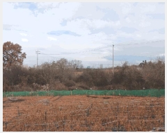  2025Ÿ��34673 ���� ���ֽ� ������ �ŵ��� 835      ����(�Ӿ�)���