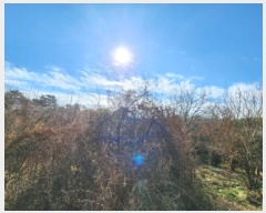  2025Ÿ��34673 ���� ���ֽ� ������ �ŵ��� 835      ����(�Ӿ�)���