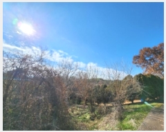  2025Ÿ��34673 ���� ���ֽ� ������ �ŵ��� 835      ����(�Ӿ�)���