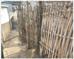  2025Ÿ��34754 ���� ��籺 ����� �ⱳ�� 195-2      ����(����)���