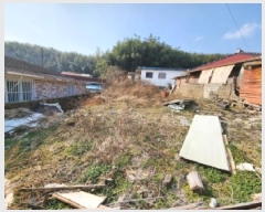  2025Ÿ��34754 ���� ��籺 ����� �ⱳ�� 195-2      ����(����)���