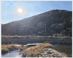  2025Ÿ��34783 ���� ��籺 ���繮�и� ���ϸ� ��174      ����(�Ӿ�)���