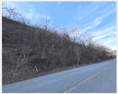  2025Ÿ��34783 ���� ��籺 ���繮�и� ���ϸ� 652      ����(��)���