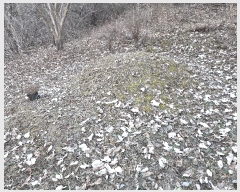  2025Ÿ��34783 ���� ��籺 ���繮�и� ���ϸ� 652      ����(��)���