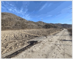  2025Ÿ��34783 ���� ��籺 ���繮�и� ���ϸ� 652      ����(��)���