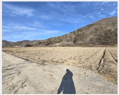  2025Ÿ��34783 ���� ��籺 ���繮�и� ���ϸ� 652      ����(��)���