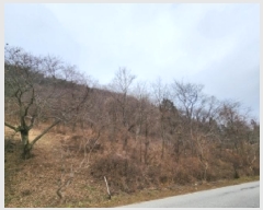  2025Ÿ��34783 ���� ��籺 ���繮�и� ���ϸ� 652      ����(��)���