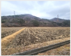  2025Ÿ��34783 ���� ��籺 ���繮�и� ���ϸ� 652      ����(��)���