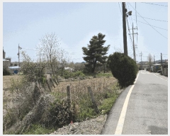  2025Ÿ��2376 ���� ���ֽ� �ٽø� ��� 34      ����(����)���