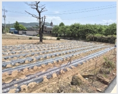  2025Ÿ��2376 ���� ���ֽ� �ٽø� ��� 34      ����(����)���