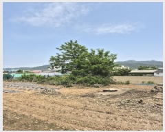  2025Ÿ��2376 ���� ���ֽ� �ٽø� ��� 34      ����(����)���