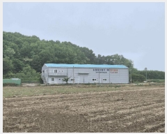  2025Ÿ��2994 ���� ���걸 ���굿 280-2       ������