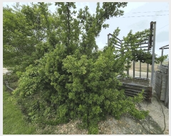  2025Ÿ��2994 ���� ���걸 ���굿 280-2       ������