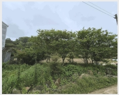  2025Ÿ��2994 ���� ���걸 ���굿 280-2       ������