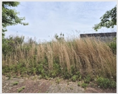  2025Ÿ��3744  ����������