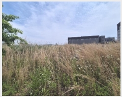  2025Ÿ��3744  ����������