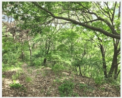  2025Ÿ��3843  �Ӿ߰��