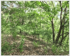  2025Ÿ��3843  �Ӿ߰��