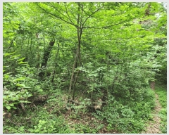  2025Ÿ��3843  �Ӿ߰��