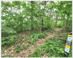  2025Ÿ��3843  �Ӿ߰��