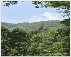  2025Ÿ��3843  �Ӿ߰��