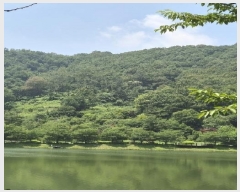  2025Ÿ��3843  �Ӿ߰��