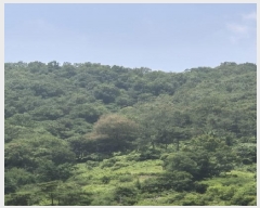  2025Ÿ��3843  �Ӿ߰��